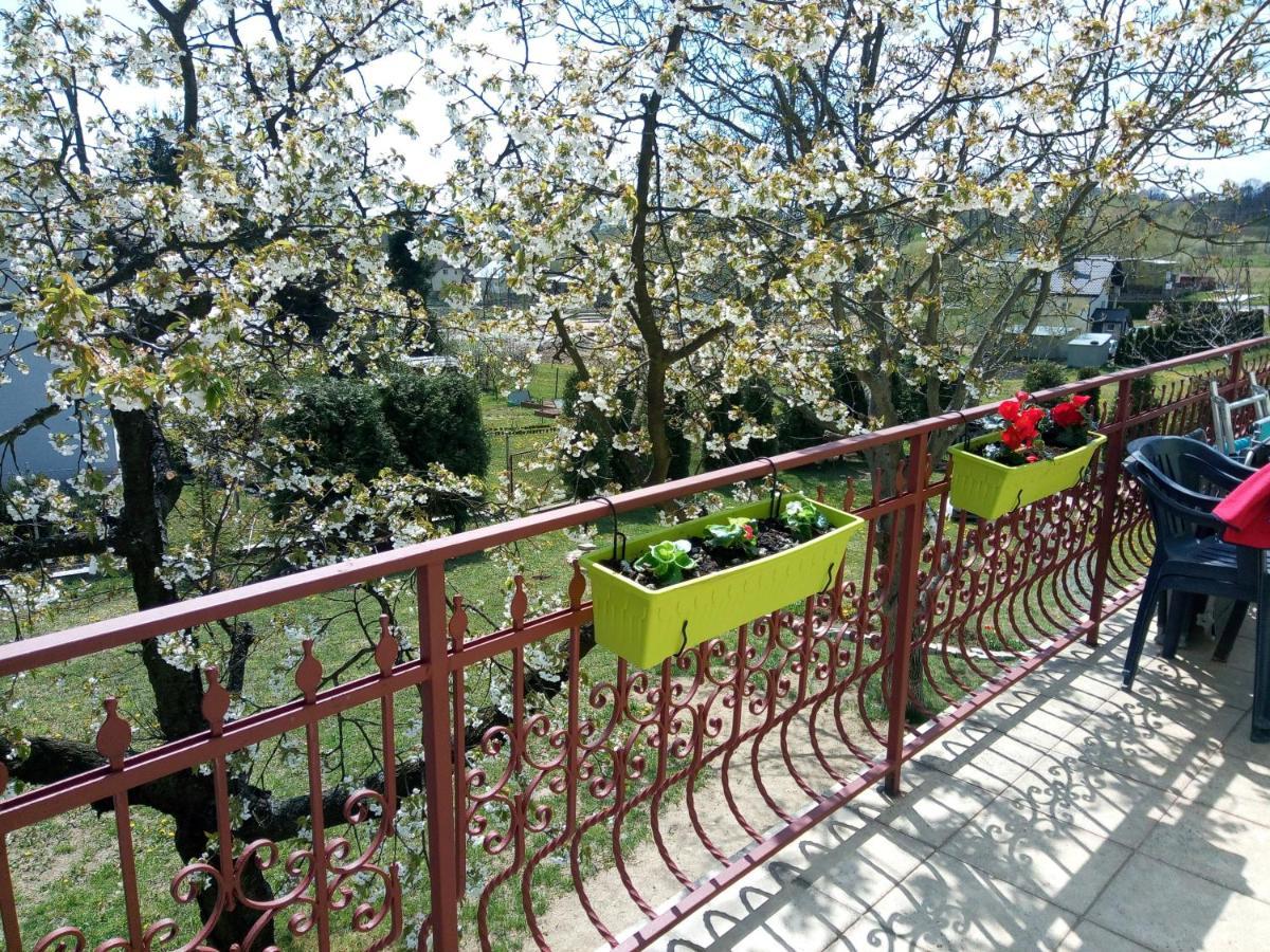 Homestay Strozowka 고를리체 외부 사진